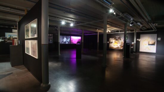 Related Realities exhibition in Gallery Himmelblau 2020