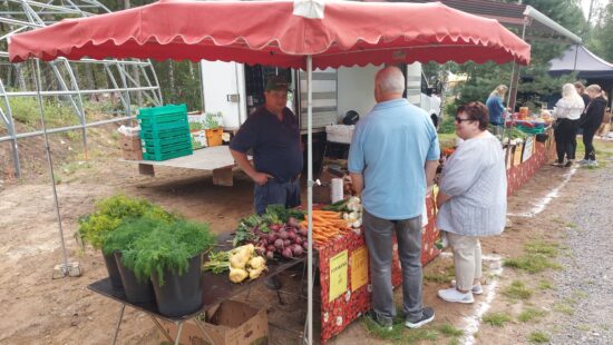 Pölkinvuori Summer Market is 30.7.2023.
