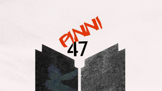 Demolition Art House Pinni47